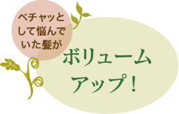 ペチャッとして悩んでいた髪が ボリュームアップ！